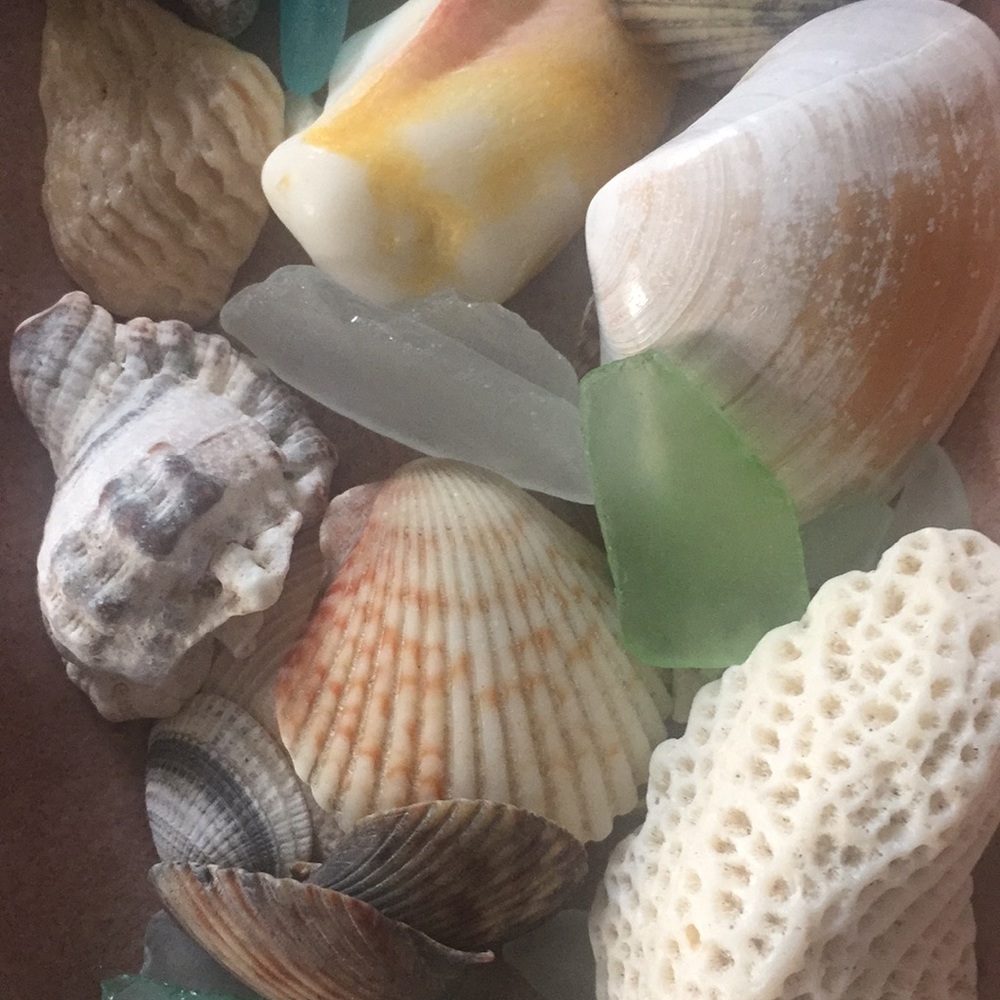 Meet your Posher, Linda